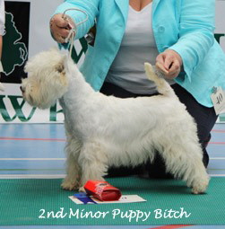2009 2mpb 2009 2mpb