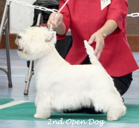 2009 2od 2009 2od
