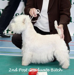 2009 2pgb 2009 2pgb