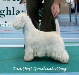 2009 2pgd 2009 2pgd