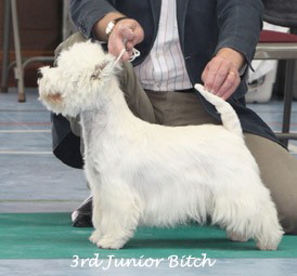 2009 3jb 2009 3jb