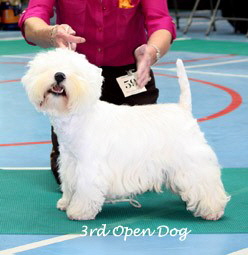 2009 3od 2009 3od
