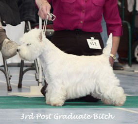 2009 3pgb 2009 3pgb