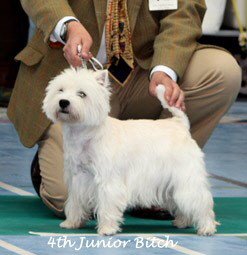 2009 4jb 2009 4jb