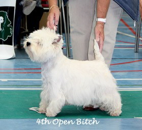 2009 4ob 2009 4ob