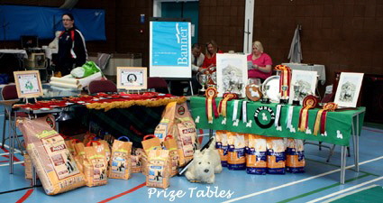2009 Prizes 2009 Prizes