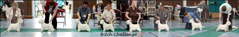 2009 bitch challenge 2009 bitch challenge