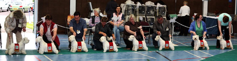 2009 bitches with sashes 2009 bitches with sashes
