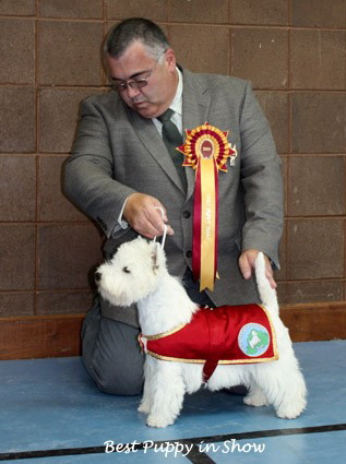 2009 bp 2009 bp