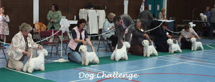 2009 dod challenge 2009 dod challenge