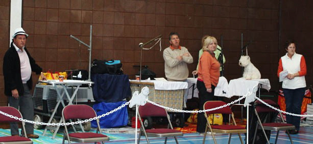 2009 ringside 3 2009 ringside 3