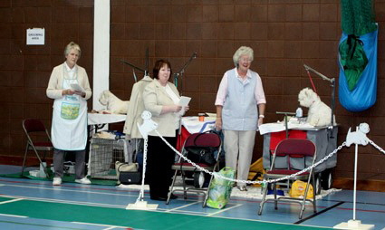 2009 ringside 2009 ringside