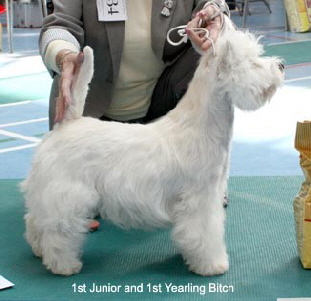 2010 1jb 2010 1jb