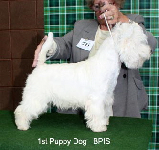 2010 1pd 2010 1pd
