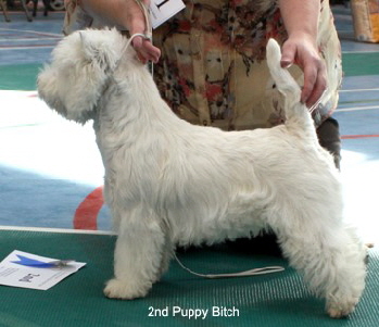 2010 2pb 2010 2pb