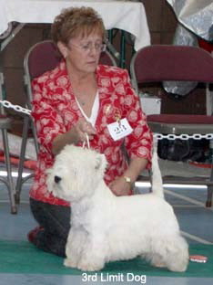 2010 3ld 2010 3ld