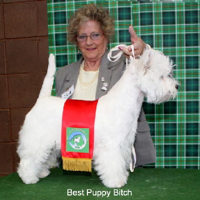 2010 BPB 2010 BPB