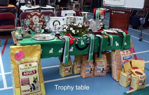 2010 trophy 2010 trophy