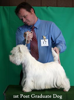 2011 1st_PG_Dogweb 2011 1st_PG_Dogweb