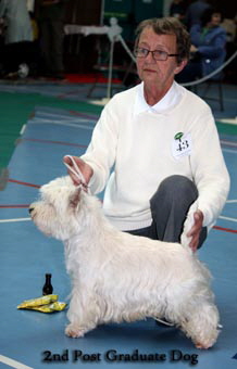 2011 2nd_PG_Dogweb 2011 2nd_PG_Dogweb