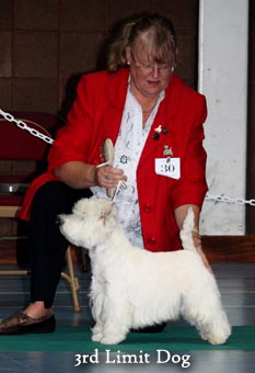 2011 3rd_Limit_Dogweb 2011 3rd_Limit_Dogweb