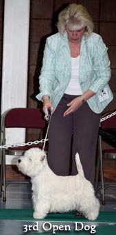 2011 3rd_Open_dogweb 2011 3rd_Open_dogweb