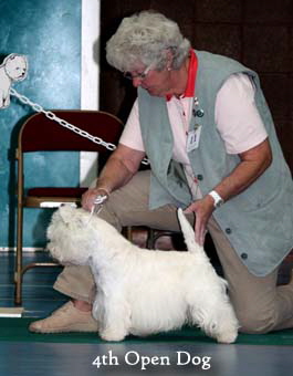 2011 4th_Open_Dogweb 2011 4th_Open_Dogweb