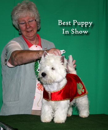 2011 Best_Puppy_In_Show_web1 2011 Best_Puppy_In_Show_web1