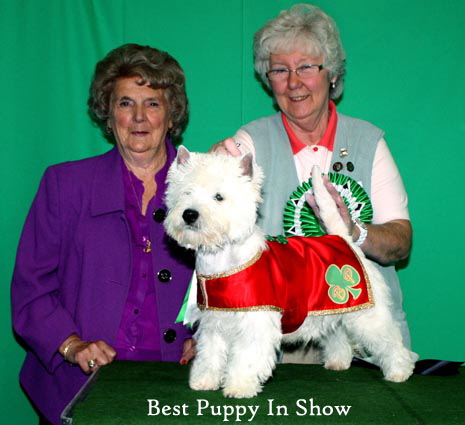 2011 Judge_and_BPIS_web 2011 Judge_and_BPIS_web