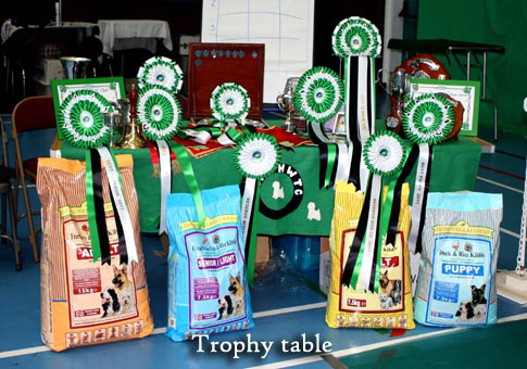 2011 Trophy_Tableweb1 2011 Trophy_Tableweb1