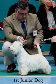 2012 1st-Junior-Dogweb-2012 2012 1st-Junior-Dogweb-2012
