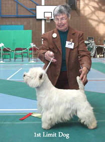 2012 1st-Limit-Dog-web-2012 2012 1st-Limit-Dog-web-2012