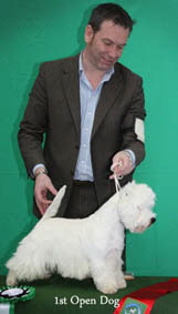 2012 1st-Open-Dogweb-2012 2012 1st-Open-Dogweb-2012