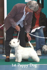 2012 1st-Puppy-Dog-web-2012 2012 1st-Puppy-Dog-web-2012