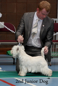 2012 2nd-Junior-dog-web-2012 2012 2nd-Junior-dog-web-2012