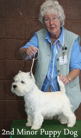 2012 2nd-Minor-Puppy-Dogweb-2012 2012 2nd-Minor-Puppy-Dogweb-2012