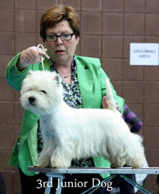 2012 3rd-Junior-dogweb-2012 2012 3rd-Junior-dogweb-2012