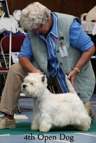 2012 4th-Open-Dogweb-2012 2012 4th-Open-Dogweb-2012