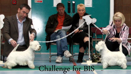 2012 Challenge-for-BISweb-2013 2012 Challenge-for-BISweb-2013