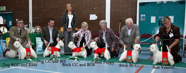 2012 Winnersweb-2012 2012 Winnersweb-2012