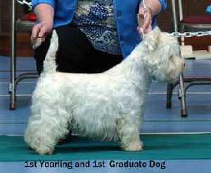 2013 1st-yearling-dog-and-1st-graduate-dogweb 2013 1st-yearling-dog-and-1st-graduate-dogweb