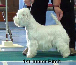 2013 JB1 2013 JB1