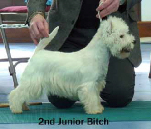 2013 JB2 2013 JB2