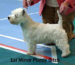 2013 MPB1 2013 MPB1