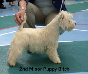 2013 MPB2 2013 MPB2