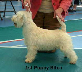 2013 PB1 2013 PB1