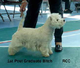 2013 PGB1 2013 PGB1