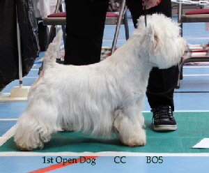 2014 1st-OD-CC-BOS 2014 1st-OD-CC-BOS