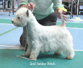 2014 2ndJB 2014 2ndJB