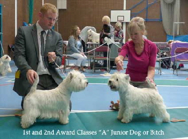 2014 Award-Classes-A 2014 Award-Classes-A